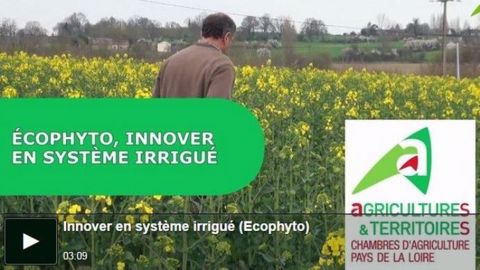 Loïc Patoureau : « J’ai trouvé une solution aux infestations d’adventices »