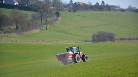 Blés améliorants : besoins en azote spécifiques à la variété et à la localité