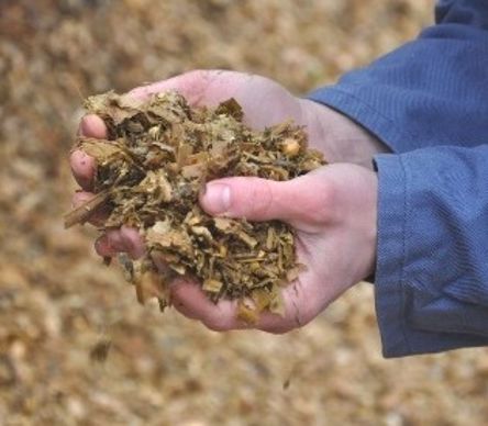Ensilage de maïs