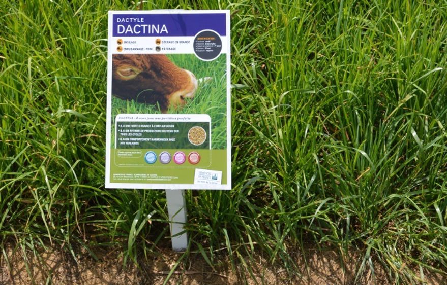 Les outils web facilitent le choix des variétés