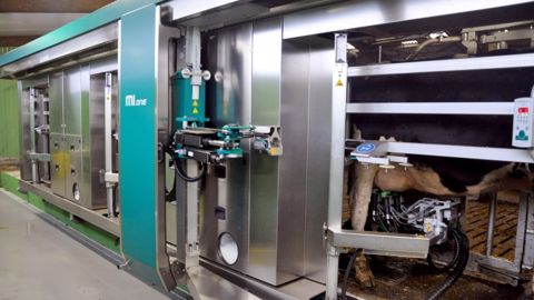  Pour rentabiliser au mieux l'investissement d'un robot de traite, il faut viser une production d'environ 2.000 l par jour et par stalle. (©Terre-net Média)