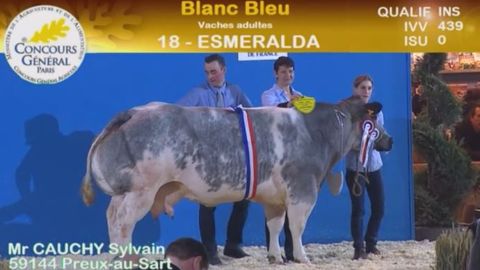 Esméralda à Sylvain Cauchy s'impose comme grande championne Blanc Bleu