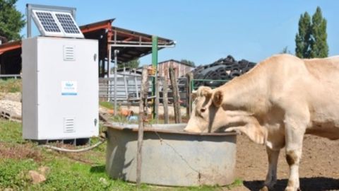 Hysotech trouve une solution pour minéraliser et désinfecter l’eau en prairie Hysotech trouve une solution pour minéraliser et désinfecter l’eau en prairie