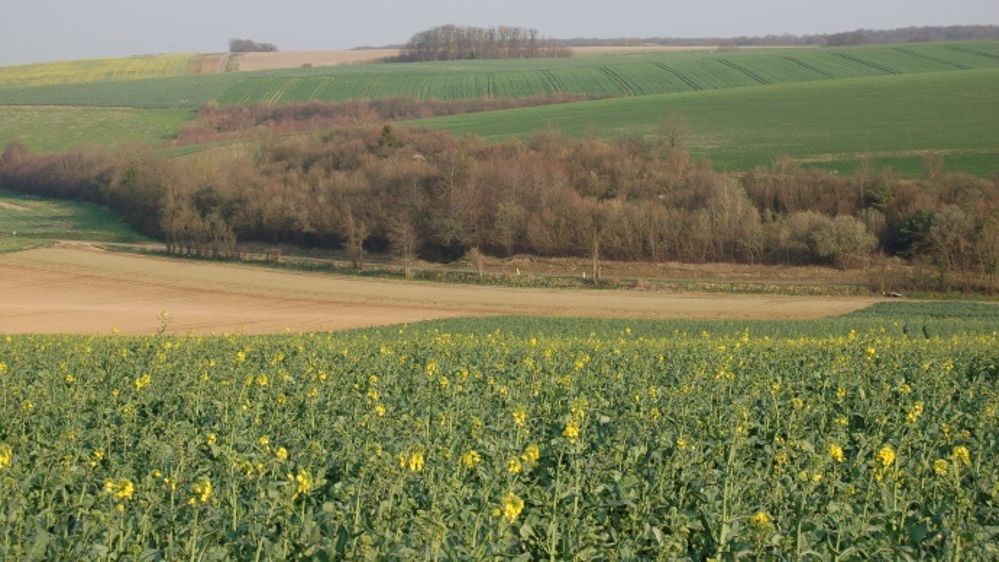 Mise en œuvre de la Pac 2014-2020 : le 1er bilan de la Commission européenne