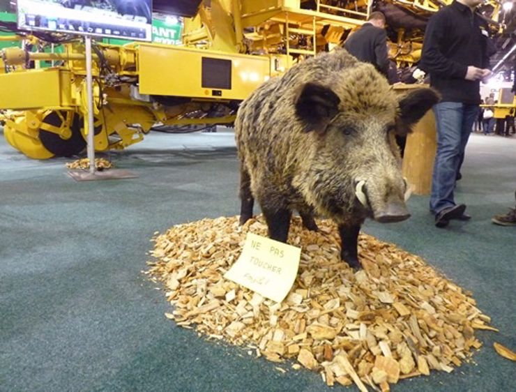 Des exposants qui ne manquent pas d’idées pour se faire remarquer