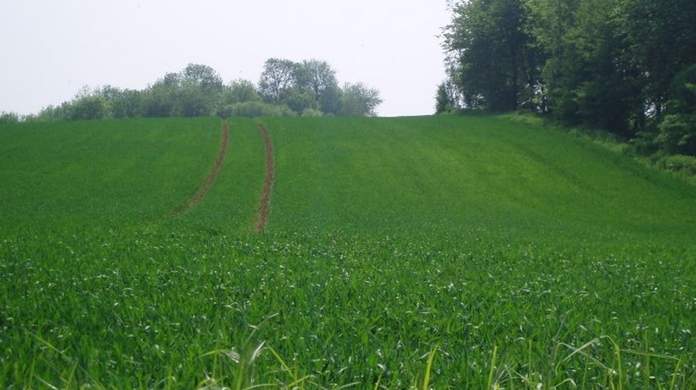 Le printemps revient dans la région mer Noire