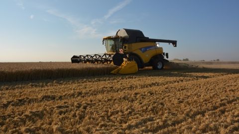 Un marché de 20 millions de tonnes hors de portée de la France