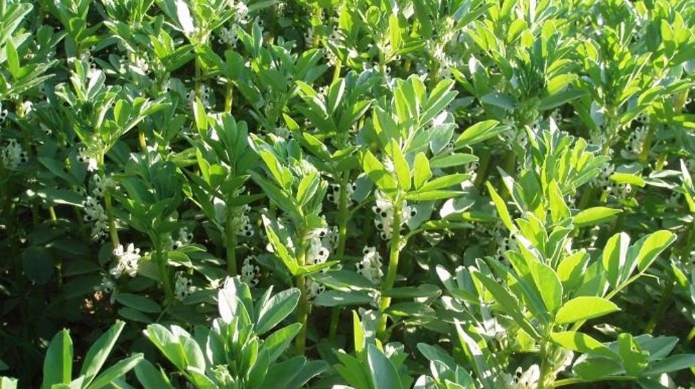 (©Terre-net Média)