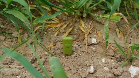 Les chercheurs de l'Irstea rendent l’agriculture de précision encore plus précise grâce à des réseaux de capteurs autonomes sans fil. (©Terre-net média)