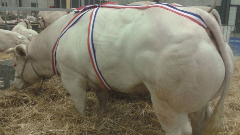 A Autun - Une bouffée d’oxygène bienvenue