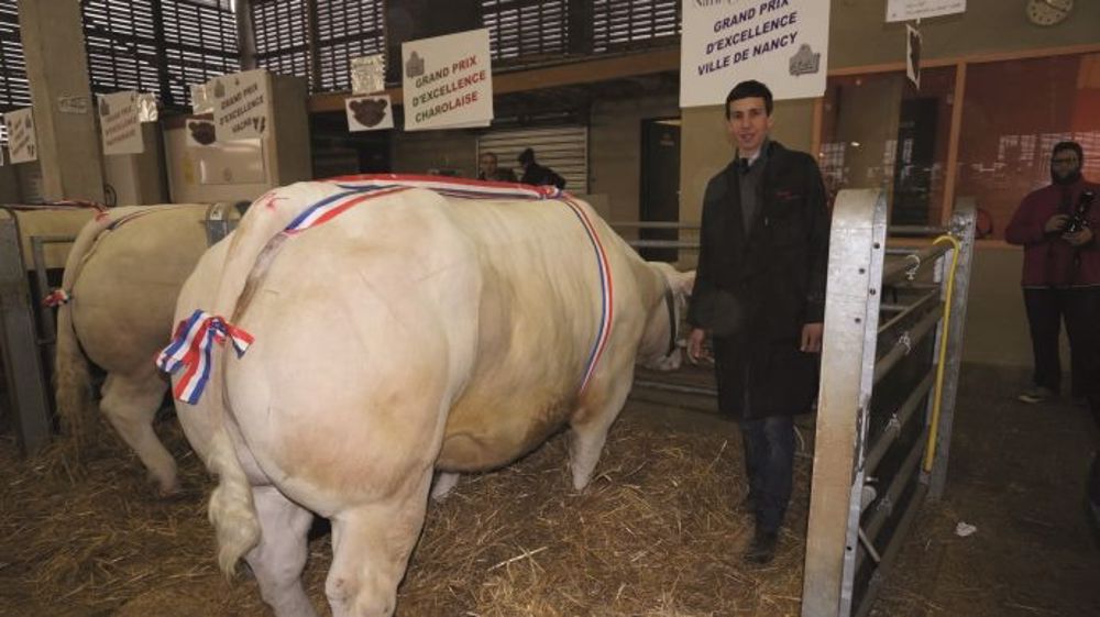 A Nancy - Séquence émotion pour la 24e Foire aux bœufs