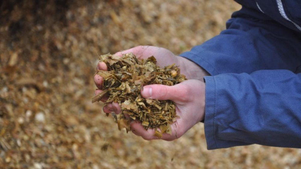 Comment identifier un risque d'intoxication chez les bovins ?