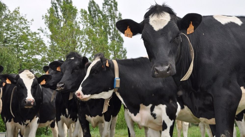 Jean-Paul Simier : « Inventer une nouvelle régulation dans la filière »