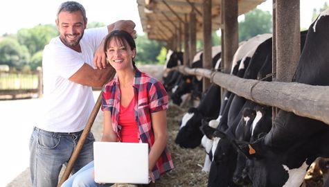 Quel réseau social choisir ? (©Fotolia) 