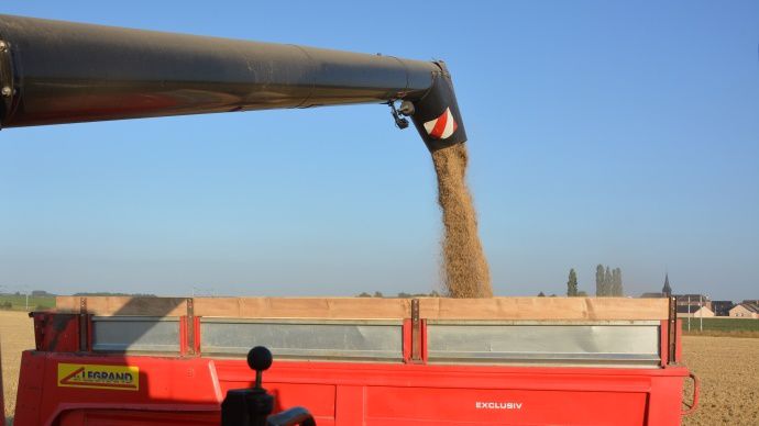 Moisson blé