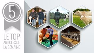 Le top articles de la semaine sur Web-agri (©Terre-net Média) Le top articles de la semaine sur Web-agri (©Terre-net Média)
