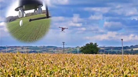 Lâchers de trichogrammes par drone, compromis entre hélico et pose manuelle ?