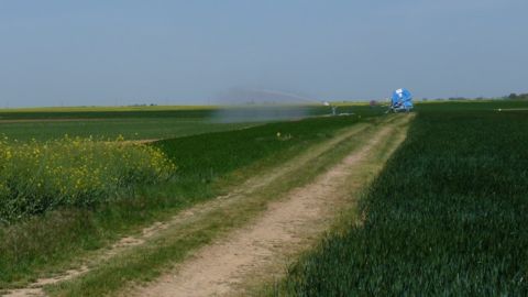Faut-il déclencher les premiers apports en céréales ? (©Terre-net Média)