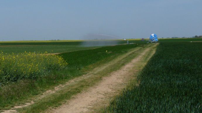 Irrigation du blé