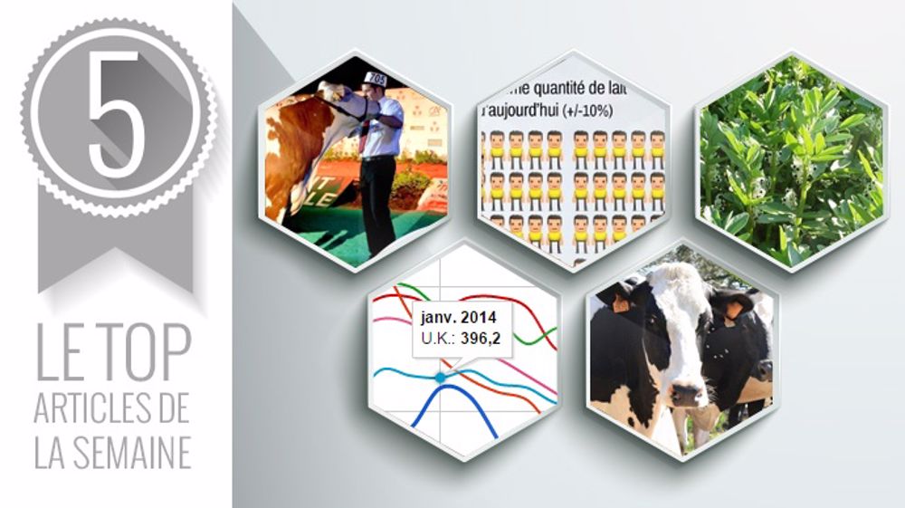 Le top articles de la semaine sur Web-agri (©Terre-net Média) Le top articles de la semaine sur Web-agri (©Terre-net Média)
