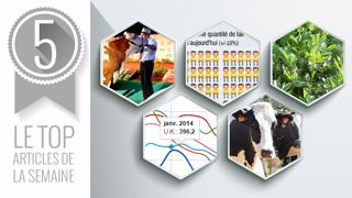 Le top articles de la semaine sur Web-agri (©Terre-net Média) Le top articles de la semaine sur Web-agri (©Terre-net Média)