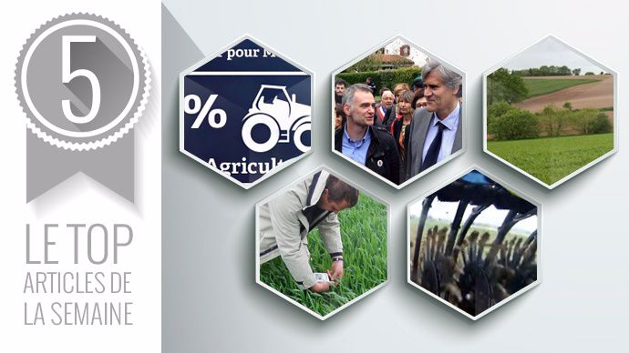 Top articles de cette semaine sur Terre-net