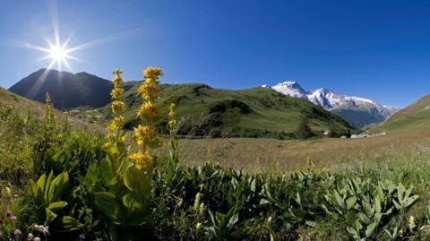 Les Pyrénées, haut lieu de la préservation de la biodiversité. (©Ministère de l'environnement.)