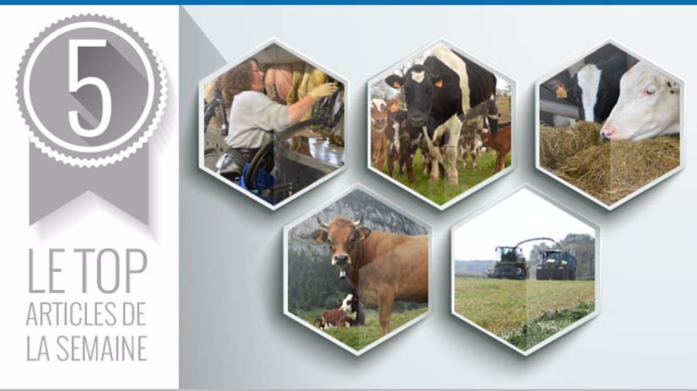 Top articles de la semaine sur Web-agri (©Terre-net Média) Top articles de la semaine sur Web-agri (©Terre-net Média)
