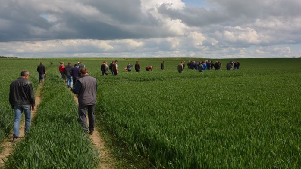 Les tours de plaine organisés par Tmce accueillent entre 20 et 50 agriculteurs à chaque édition. (©Terre-net Média) 