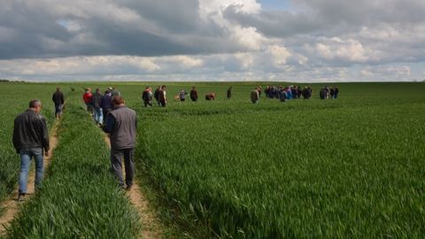 Les tours de plaine organisés par Tmce accueillent entre 20 et 50 agriculteurs à chaque édition. (©Terre-net Média) 