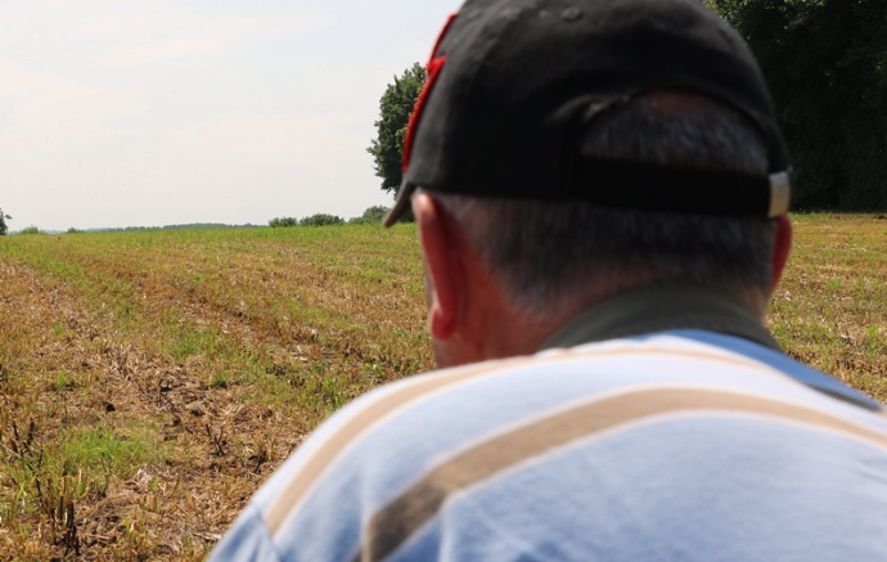 Selon les agriculteurs, l'homosexualité ne semble pas véritablement acceptée dans le monde agricole. (©Terre-net Média) 