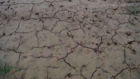 L'Australie pourrait être victime cette année de la sécheresse. (©Terre-net Média)