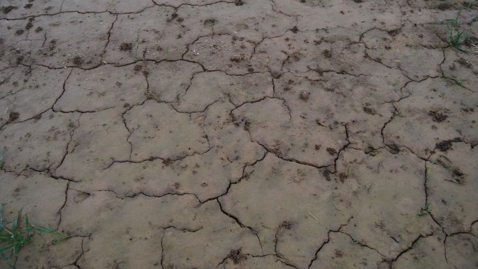 Terre sécheresse