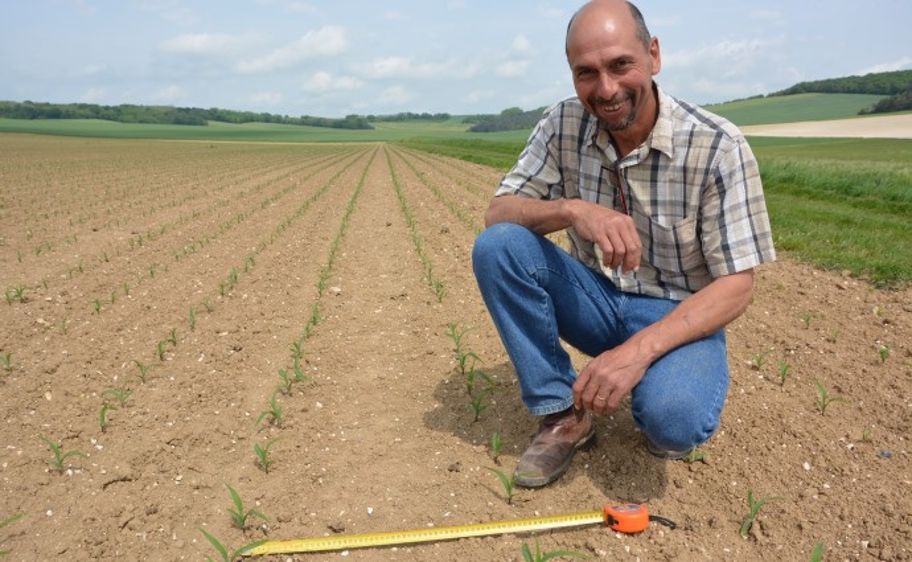 Frédéric Mugot, agriculteur dans l'Aube, sème son maïs avec un inter-rang de 50 cm. (©Terre-net Média) 