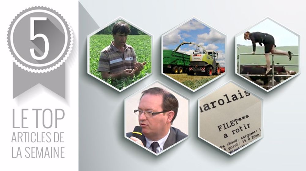 Les cinq articles les plus consultés sur Web-agri cette semaine. (©Terre-net Média) Les cinq articles les plus consultés sur Web-agri cette semaine. (©Terre-net Média)