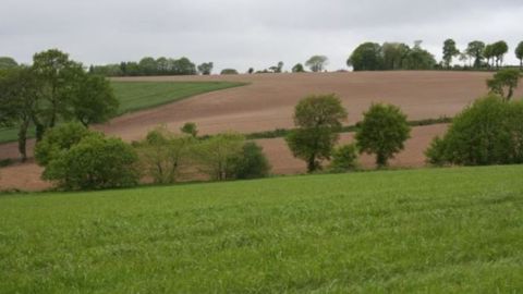 Malgré une moindre artificialisation des terres agricoles en 2014, la ferme France risque de perdre, au rythme enregistré ces dernières années, une perte de 6 % de sa Sau, représentant 8 % de son potentiel agronomique. (©Terre-net Média)<span style="font-size: 14px; line-height: 1.5em; text-align: justify; color: #000000;"> 