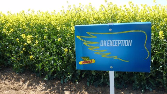 DK Exception