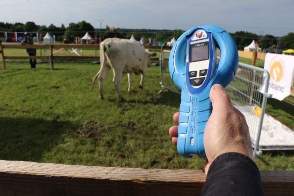 Pour utiliser le lecteur, il faut le positionner à moins de 20 cm de l'animal. Une fois identifié la donnée de pesée s'enregistre automatiquement. Il existe aussi un mode manuel qui permet dans un premier temps de faire l'identificiation, puis de lancer l'enregistrement de la pesée.