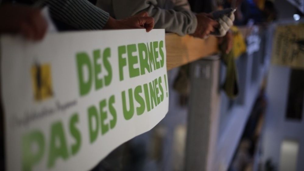 En janvier 2014, des militants de la Confédération paysanne avaient manifesté dans les locaux de l'entreprise de Michel Ramery, le propriétaire de la ferme des 1.000 vaches. (©Terre-net Média)