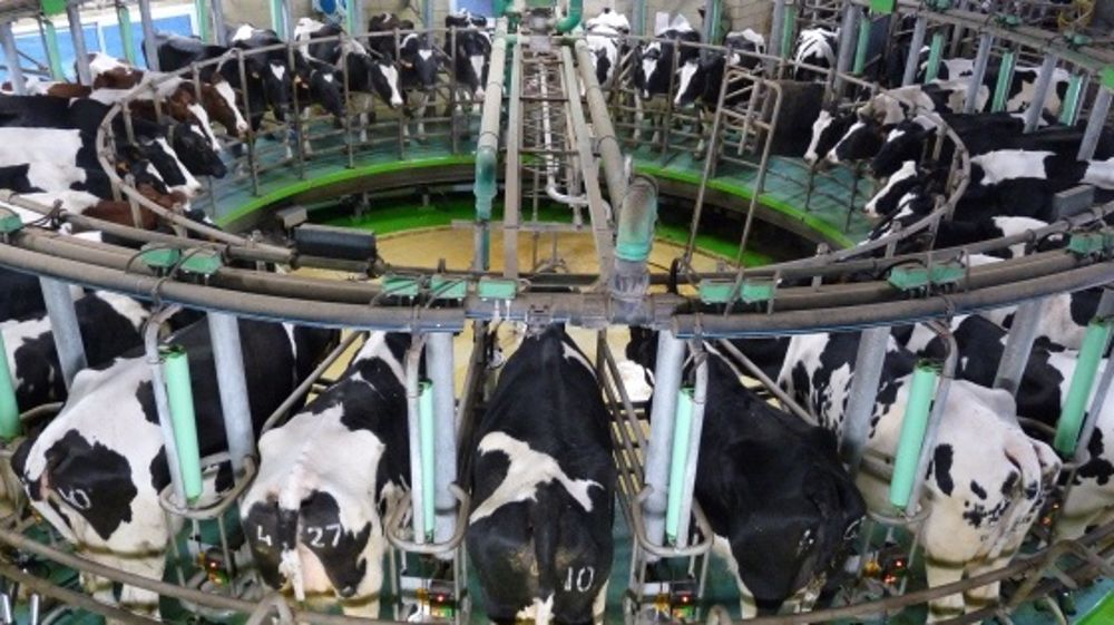 Pour le second semestre 2015, les producteurs de lait de la Fnpl réclament 30 €/1.000 l pour compenser l'effet ciseau prix-charges du premier semestre. (©Terre-net Média)