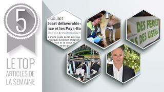 Les immanquables de la semaine. (©Terre-net Média) Les immanquables de la semaine. (©Terre-net Média)