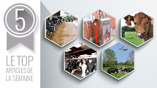 Le top articles de la semaine sur Web-agri. (©Terre-net Média) Le top articles de la semaine sur Web-agri. (©Terre-net Média)