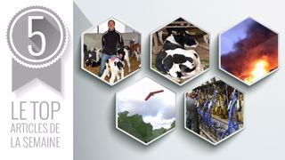 Les 5 articles les plus lus de la semaine sur Web-agri. (©Terre-net Média) Les 5 articles les plus lus de la semaine sur Web-agri. (©Terre-net Média)