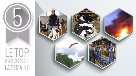Les 5 articles les plus lus de la semaine sur Web-agri. (©Terre-net Média)