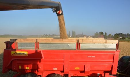 Les températures de plus de 30 degrés annoncées en France sont une menace pour les rendements et la qualité de la production. (©Terre-net Média)