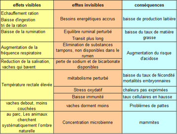 Effets et conséquences du stress thermique chez les bovins Effets et conséquences du stress thermique chez les bovins