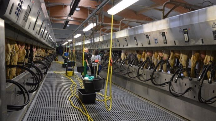 La salle de traite 2*30 postes a été préférée au roto de traite.