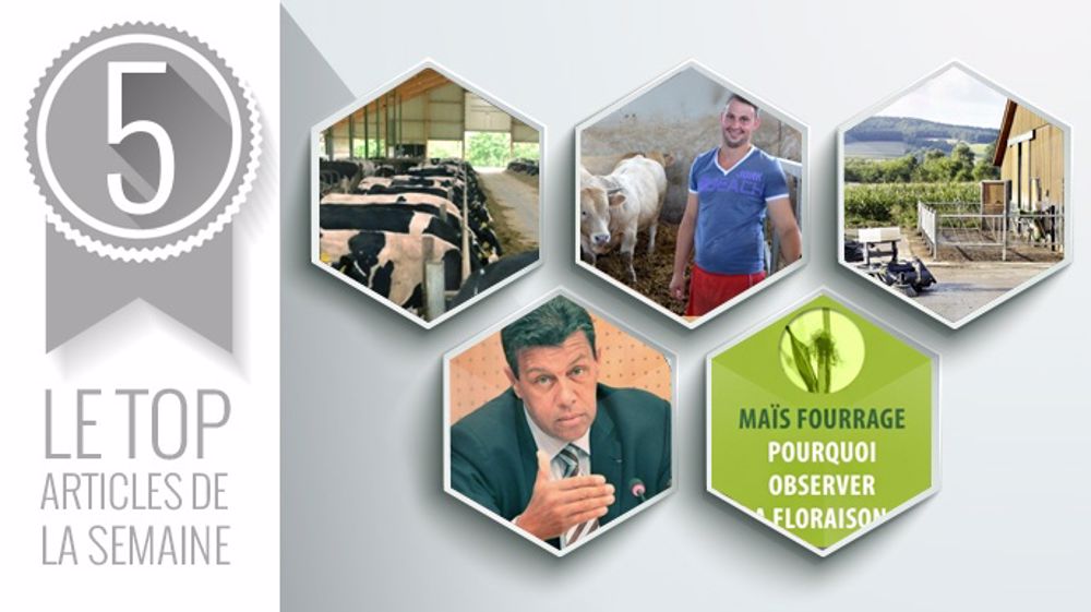 Les 5 articles les plus lus sur Web-agri cette semaine. (©Terre-net Média) Les 5 articles les plus lus sur Web-agri cette semaine. (©Terre-net Média)