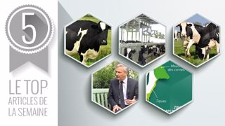 Le top articles de la semaine sur Web-agri. (©Terre-net Média) Le top articles de la semaine sur Web-agri. (©Terre-net Média)