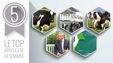 Le top articles de la semaine sur Web-agri. (©Terre-net Média)